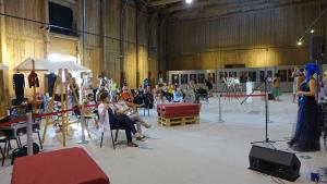 KISTRA (Foto Tajda Senica)